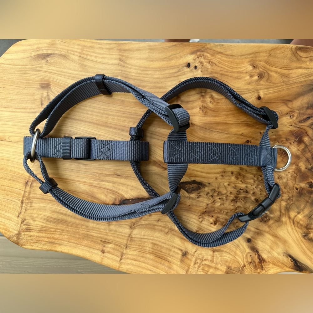 Hamilton 1"x6 FT Long Single Thick Nylon Dog Leash W/ LG Comfort Harness - Picture 8 of 11